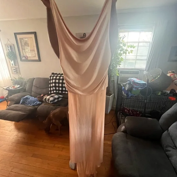 Fashion Nova NEW W/OT 
Chic Backless Nude Dress - Picture 8 of 16